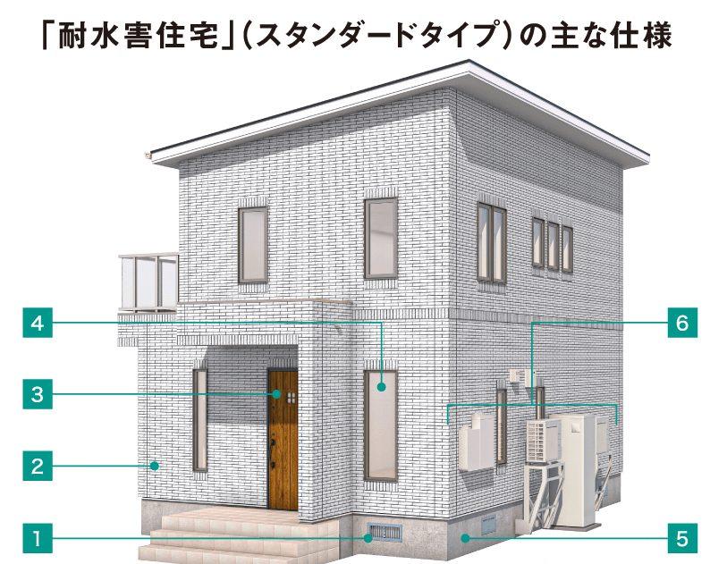 news-6495-6a81438ac69fc.jpg