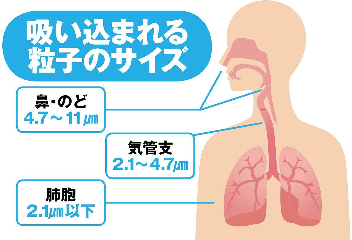 news-874-6a8138986424a.jpg